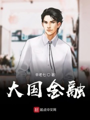 《大国金融》（校对版全本）作者：辛老七 封面