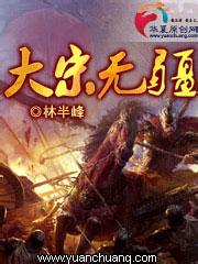 《大宋无疆》（校对版全本）作者：林半峰 封面