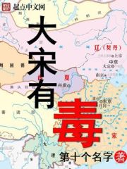 《大宋有毒》（校对版全本）作者：第十个名字 封面