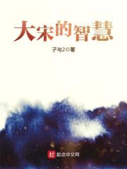 《大宋的智慧》（校对版全本）作者：孑与2 封面