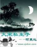 《大宋私生子》（校对版全本）作者：何昊远 封面
