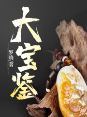 《大宝鉴》（校对版全本）作者：罗晓 封面