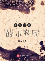《大时代中的小农民》（校对版全本）作者：醛石 封面