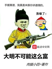 《大明不可能这么富》（校对版全本）作者：肉猫小四 封面