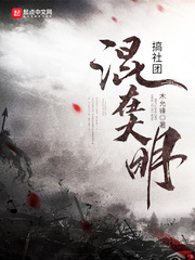 《大明之五好青年》（校对版全本）作者：木允锋 封面