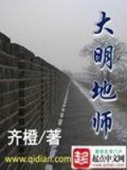 《大明地师》（校对版全本）作者：齐橙 封面