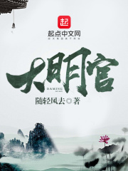 《大明官》（精校版全本）作者：随轻风去 封面