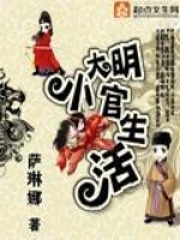 《大明小官生活》（校对版全本）作者：萨琳娜 封面