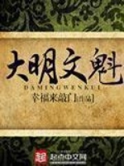 《大明文魁》（校对版全本）作者：幸福来敲门 封面