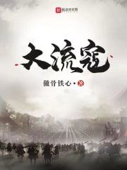 《大流寇》（校对版全本）作者：傲骨铁心 封面