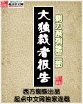 《大独裁者报告》（校对版全本）作者：西方蜘蛛 封面