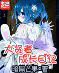 《大贤者成长日记》（校对版全本）作者：暗黑芒果 封面