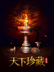 《天下珍藏》（校对版全本）作者：烛 封面