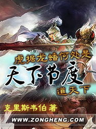 《天下节度》（校对版全本）作者：克里斯韦伯 封面
