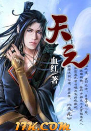 《天元》（校对版全本）作者：血红 封面
