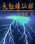 《天劫炼仙录》（校对版全本）作者：风檐 封面