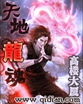《天地龙魂》（校对版全本）作者：高楼大厦 封面