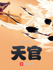 《天官》（校对版全本）作者：雁九 封面