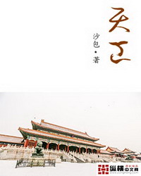 《天工》（校对版全本）作者：沙包 封面