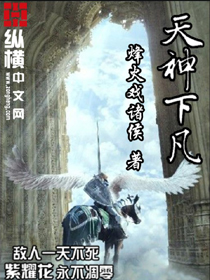 《天神下凡》（校对版全本）作者：烽火戏诸侯 封面