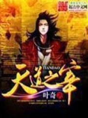 《天道之宰》（校对版全本）作者：叶奇 封面
