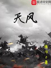 《天风》（校对版全本）作者：缘分0 封面