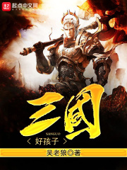 《三国好孩子》（校对版全本）作者：吴老狼 封面