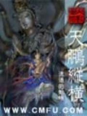 《天鹏纵横》（校对版全本）作者：流浪的蛤蟆 封面
