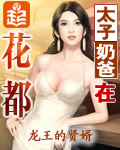 《太子奶爸在花都》（校对版全本）作者：龙王的贤婿 封面