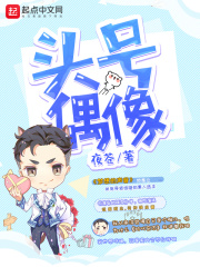 《头号偶像》（校对版全本）作者：夜苍 封面