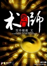 《奇门术师》（校对版全本）作者：雪冷凝霜 封面