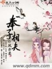 《奉子相夫》（校对版全本+番外）作者：凤亦柔 封面