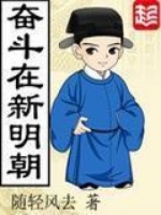 《奋斗在新明朝》（校对版全本）作者：随轻风去 封面