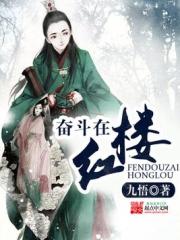 《奋斗在红楼》（校对版全本）作者：九悟 封面