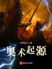 《奥术起源》（校对版全本）作者：永夜骑士 封面