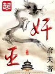 《奸臣》（校对版全本）作者：府天 封面