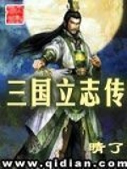 《三国立志传》（校对版全本）作者：晴了 封面