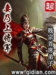 《妻乃上将军》（校对版全本）作者：贱宗首席弟子 封面