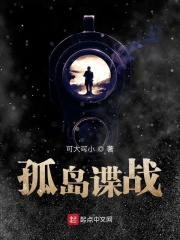 《孤岛谍战》（校对版全本）作者：可大可小 封面