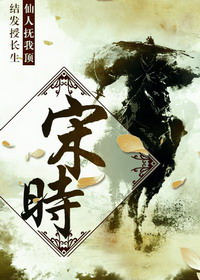 《宋时》（校对版全本）作者：一剑封喉 封面