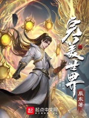 《完美世界》（校对版全本）作者：辰东 封面