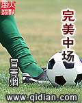 《完美中场》（校对版全本）作者：冒青烟 封面