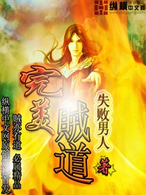 《完美贼道》（校对版全本）作者：失败男人 封面