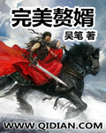 《完美赘婿》（校对版全本）作者：吴笔 封面