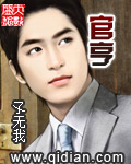 《官亨》（校对版全本）作者：孓无我 封面