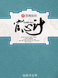 《官心计》（校对版全本）作者：怒海沧田 封面