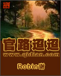 《官路迢迢》（校对版全本）作者：Robin谢 封面