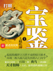 《宝鉴》（校对版全本）作者：打眼 封面