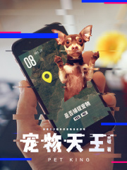 《宠物天王》（校对版全本）作者：皆破 封面