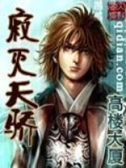 《寂灭天骄》（校对版全本）作者：高楼大厦 封面